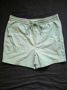 PacSun Men's Light Sage Teal Green Hybrid Volley Large Shorts